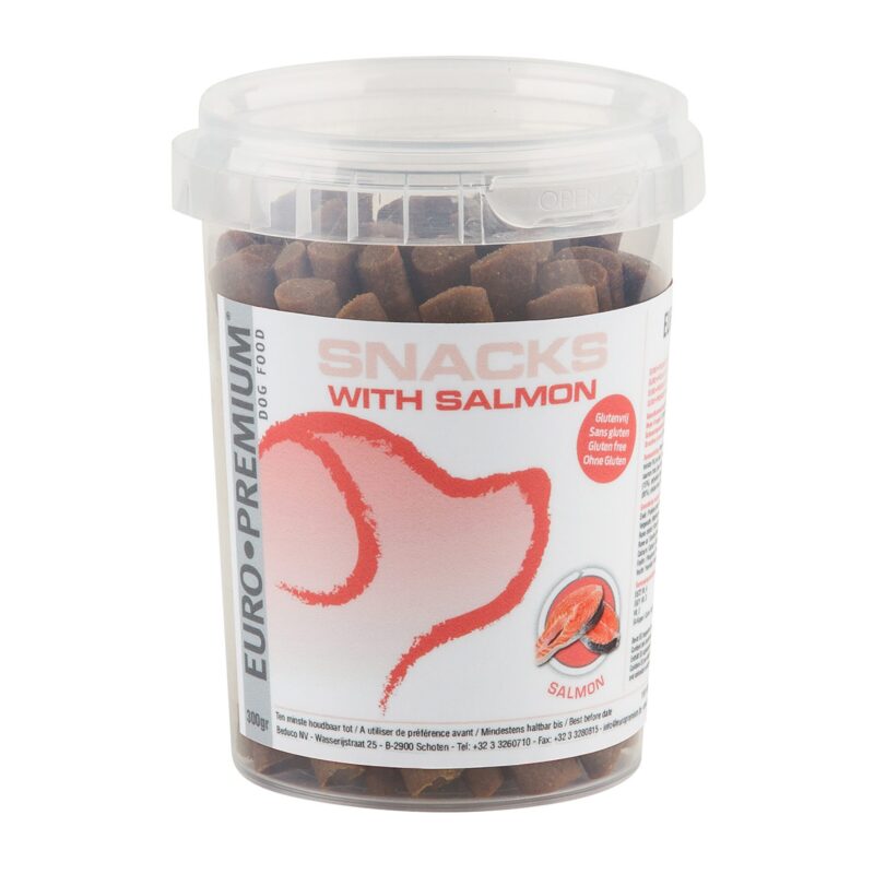 Snack met zalm