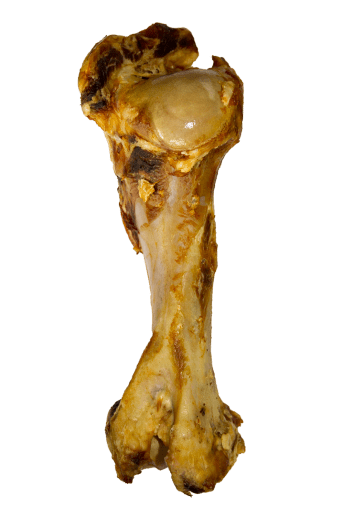 Os de boeuf Xl - 1St