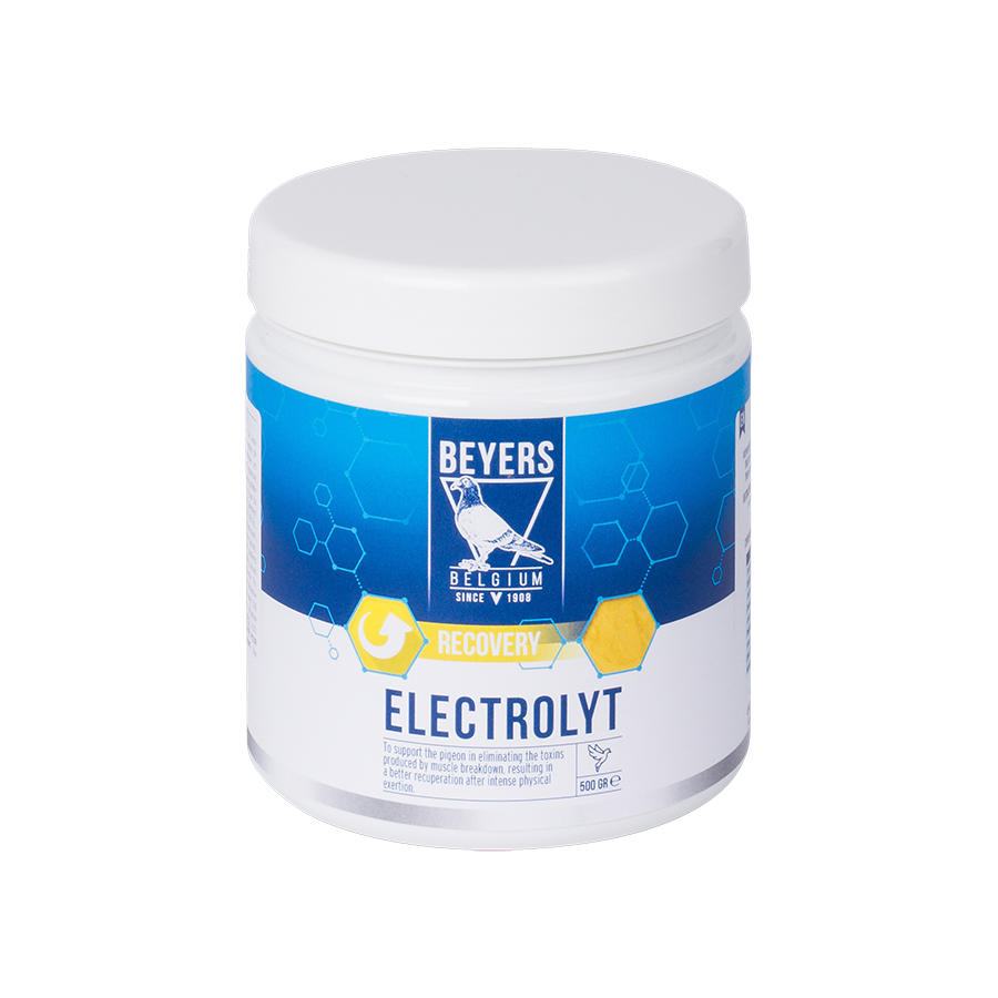 Electrolyt 500g