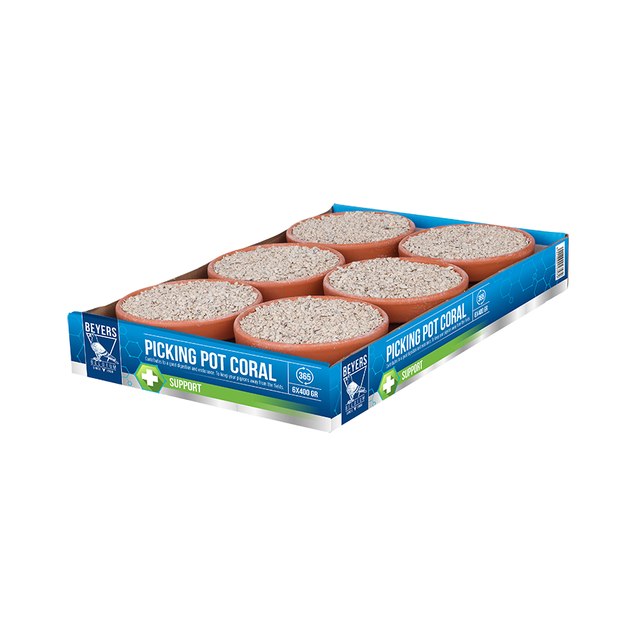 Assortiment de corail 5+1 (6 x 400 g)