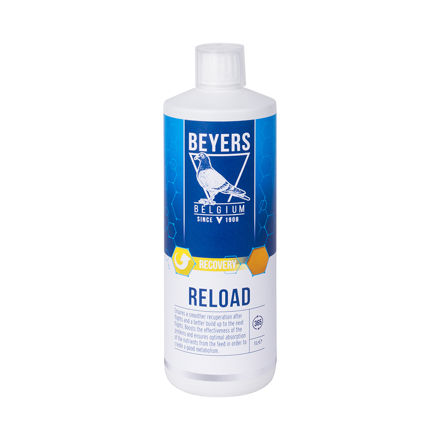 Reload 1kg