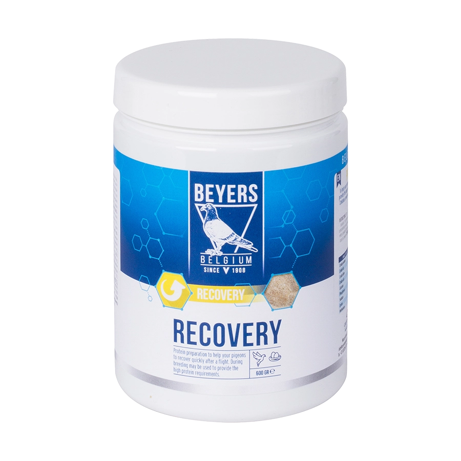 Recovery 600g