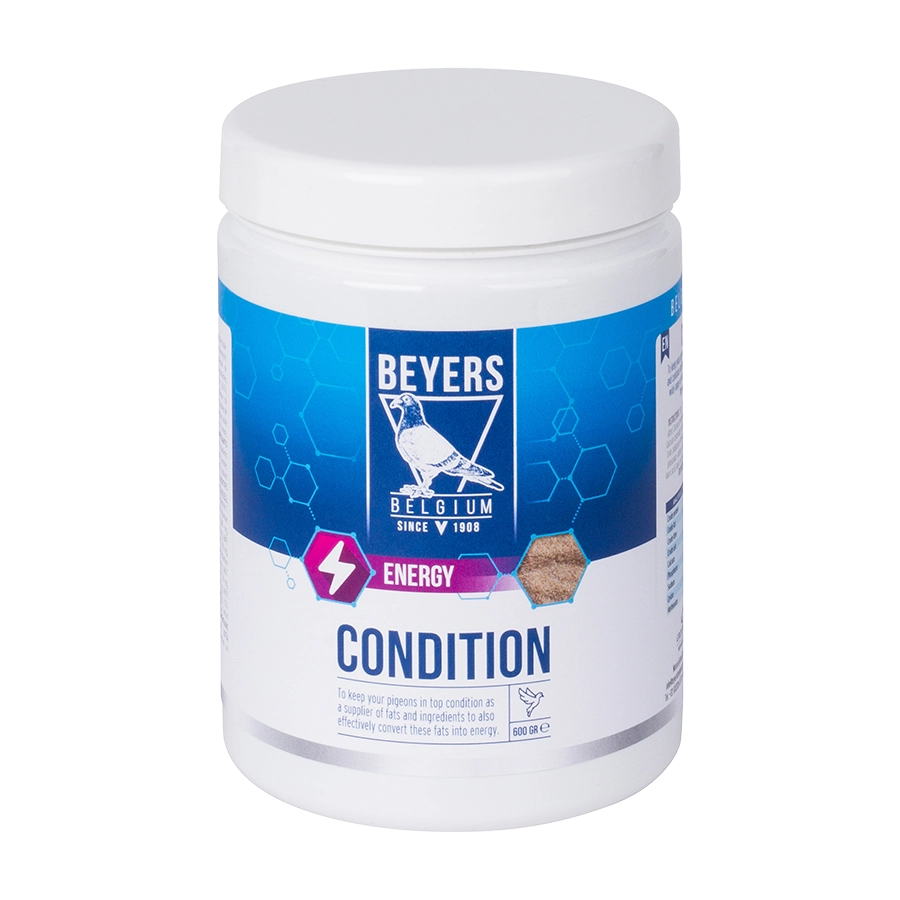 Condition 600g