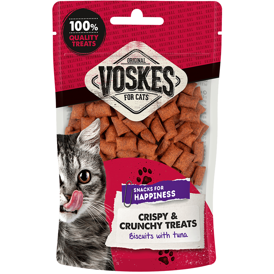 KROKANTE SNOEPJES MET TONIJN