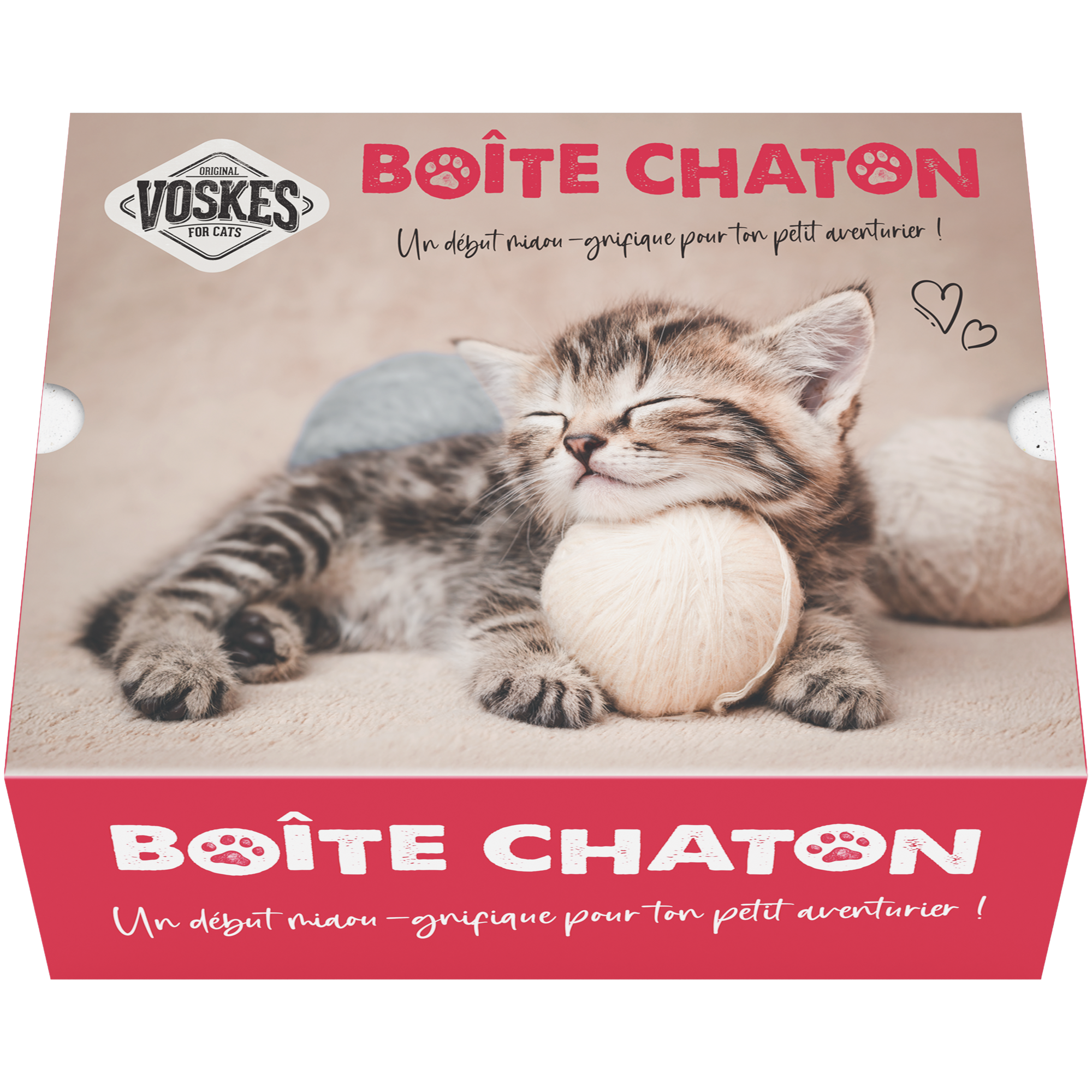 Voskes boîte chaton