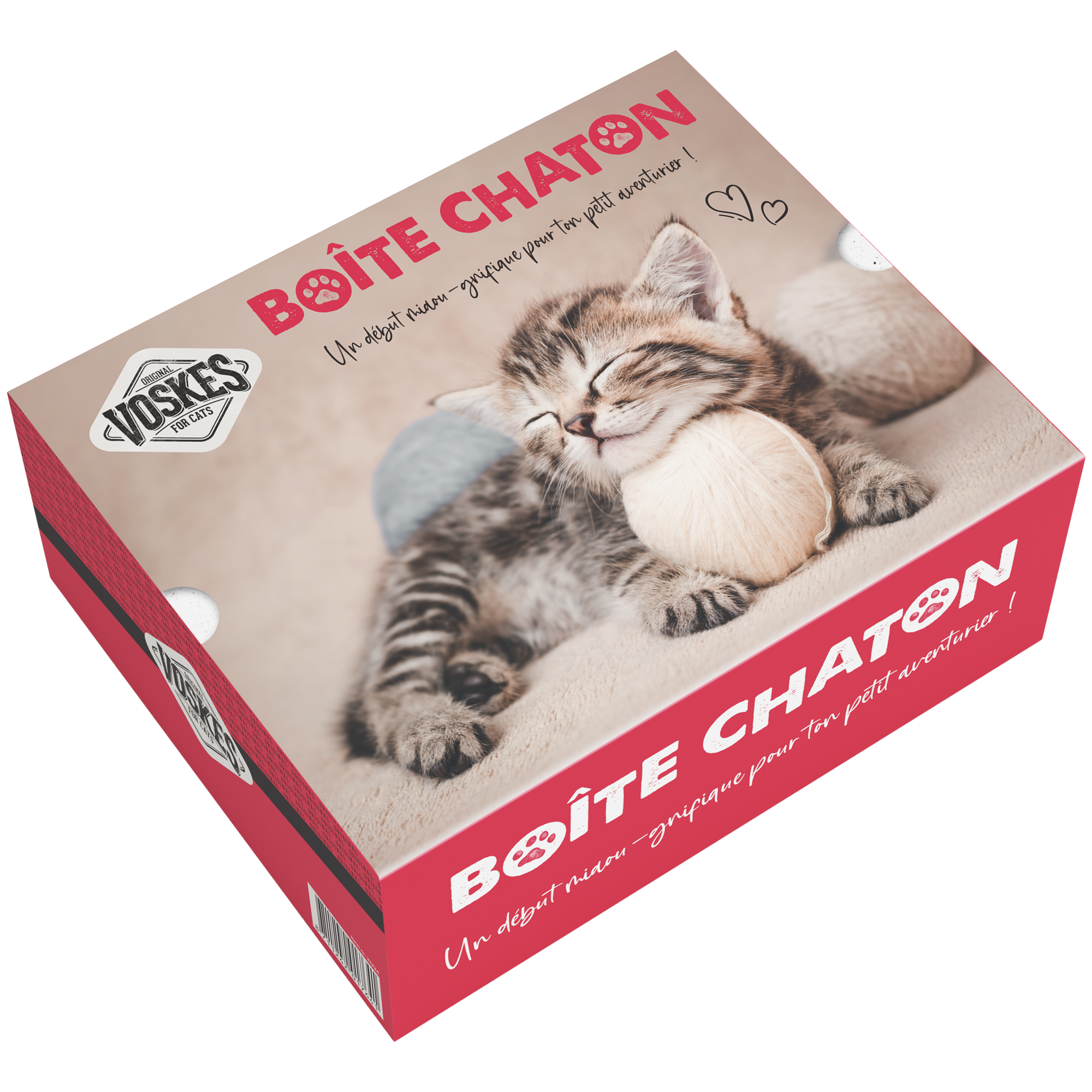 Voskes boîte chaton – Image 3