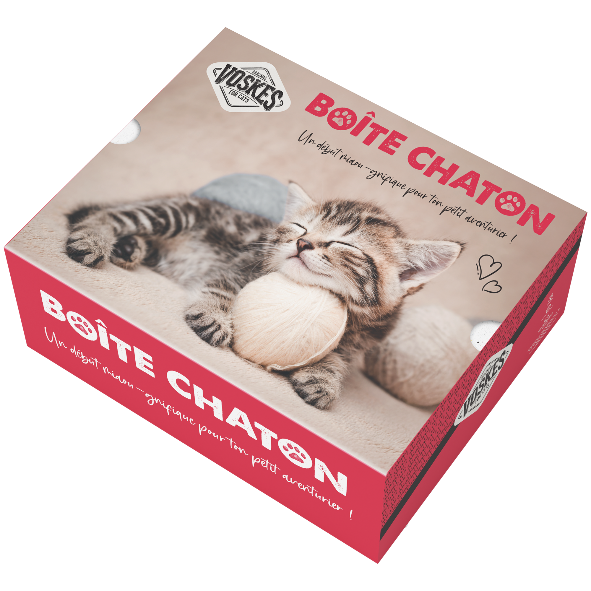 Voskes boîte chaton – Image 2