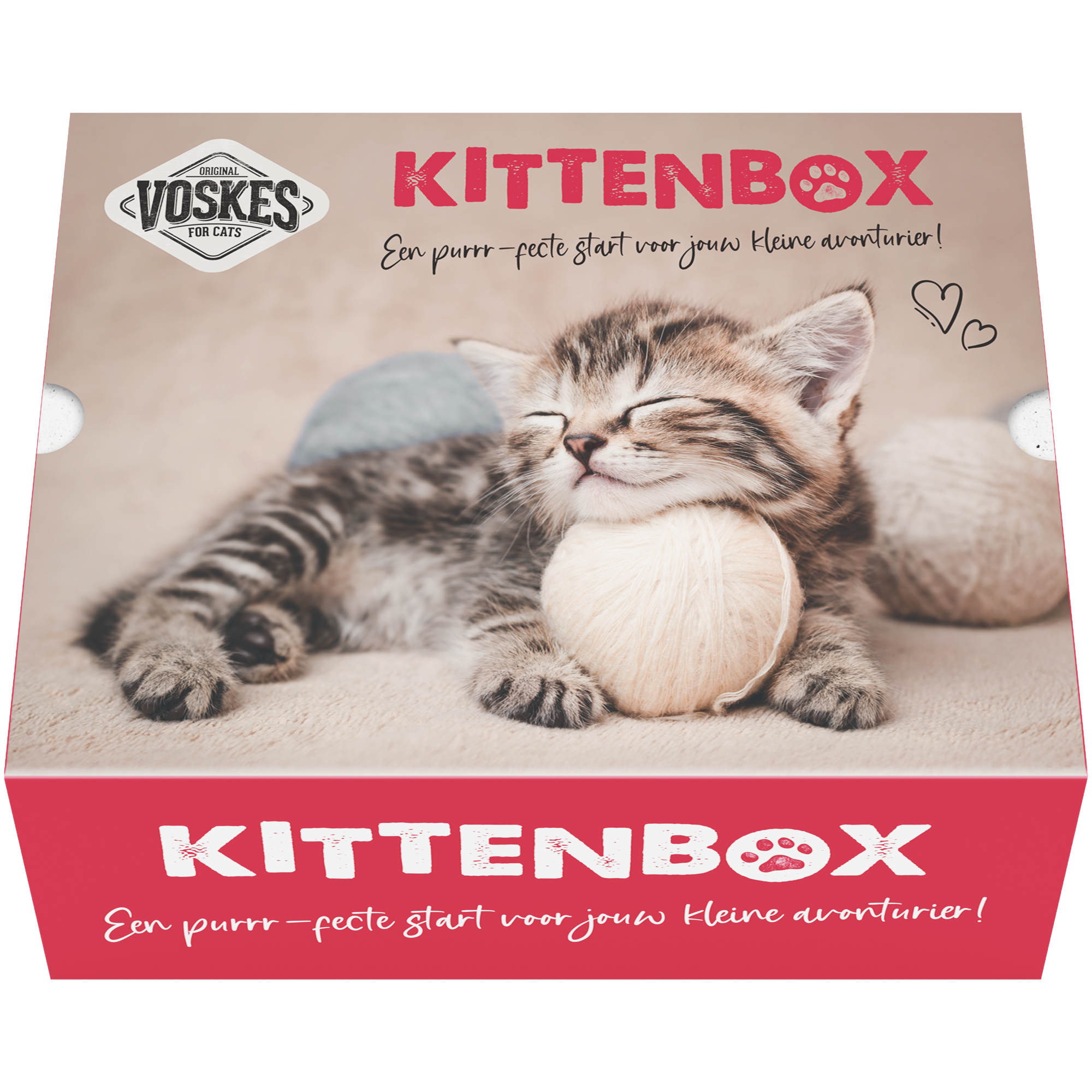 Voskes kittenbox