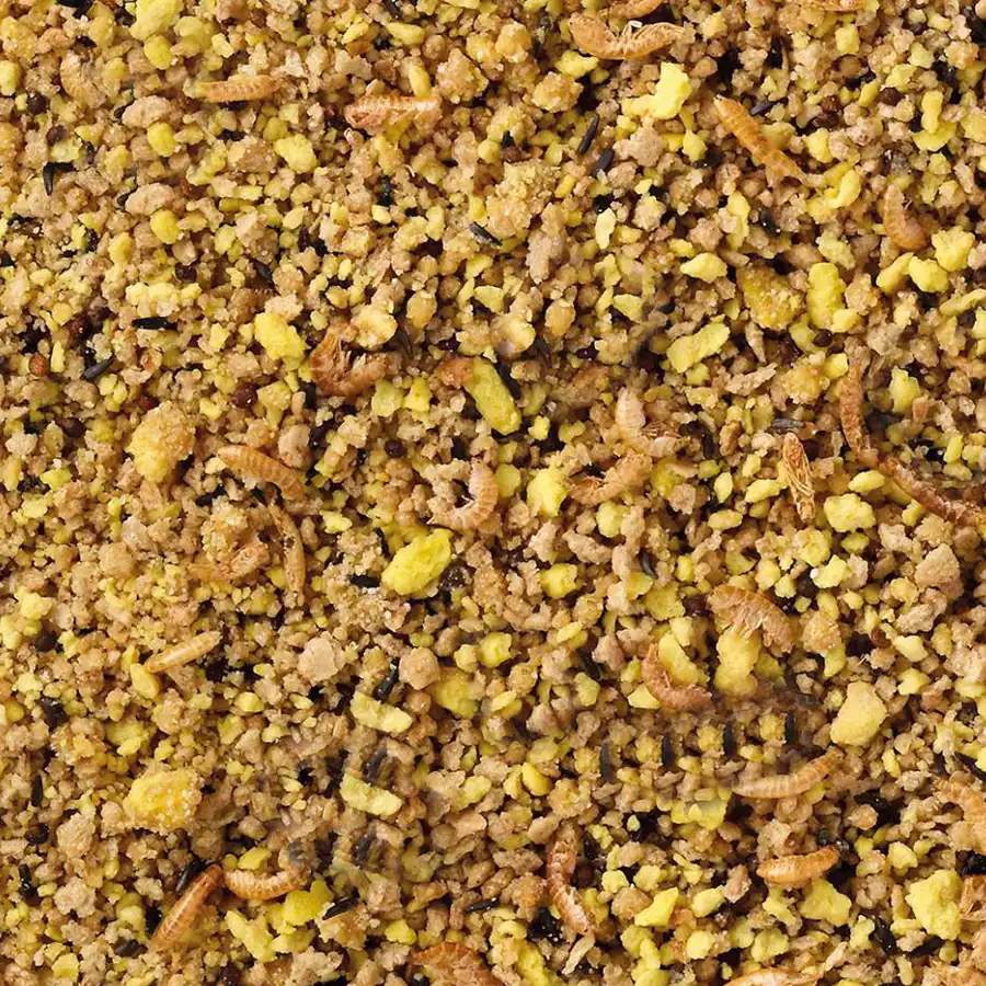040528 – 5411860808722 – Eivoer Tropische Vogels Vet 10kg