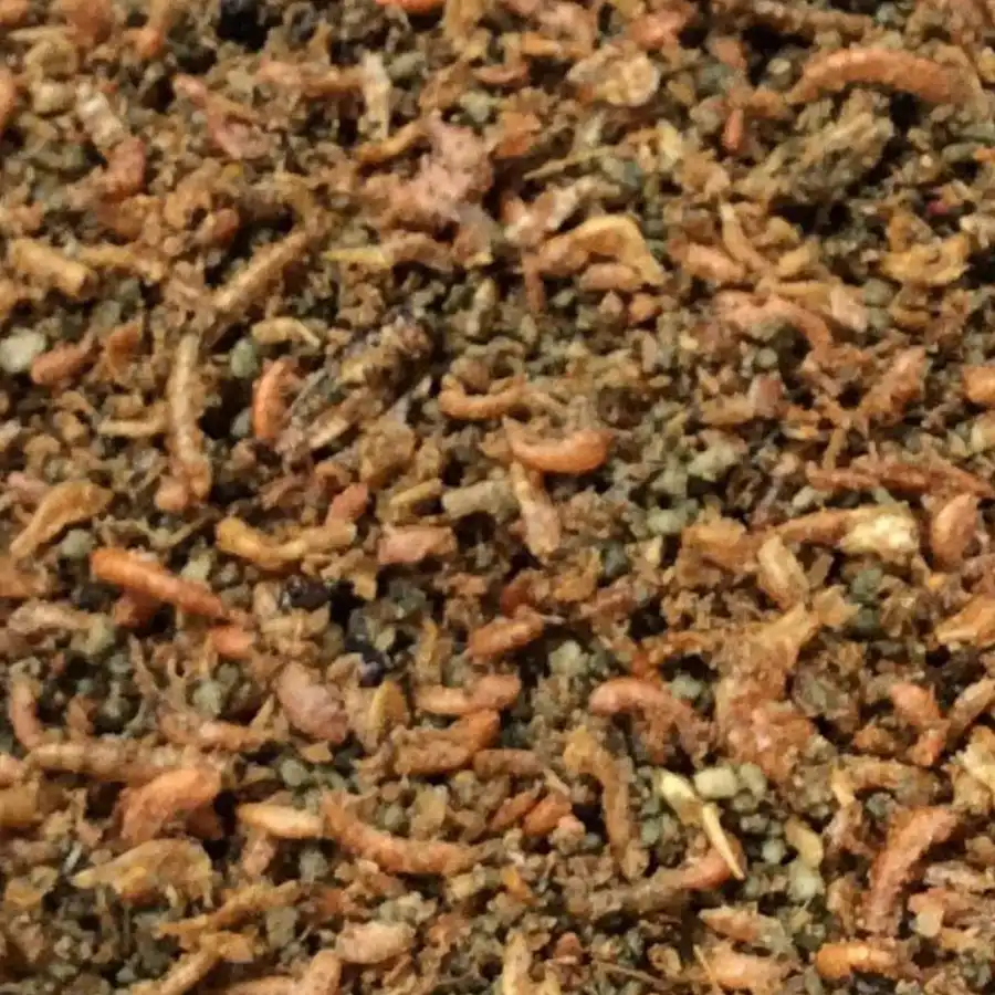 040531 – 5411860808753 – Insecten Paté Tovo 0,5kg