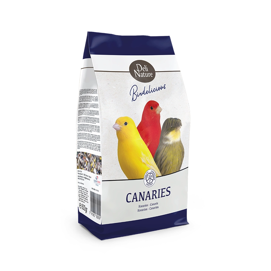 Birdelicious Kanaries