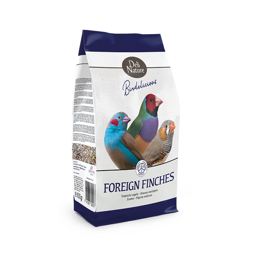 Birdelicious Oiseaux Exotiques