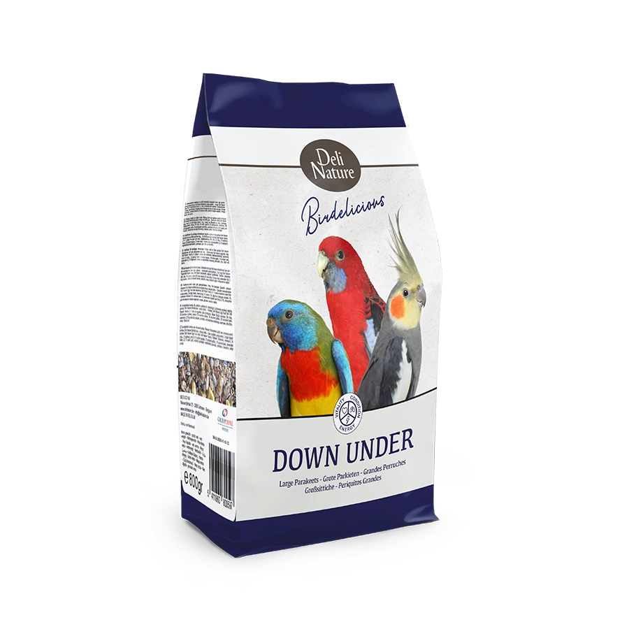 Birdelicious Grandes Perruches Down Under