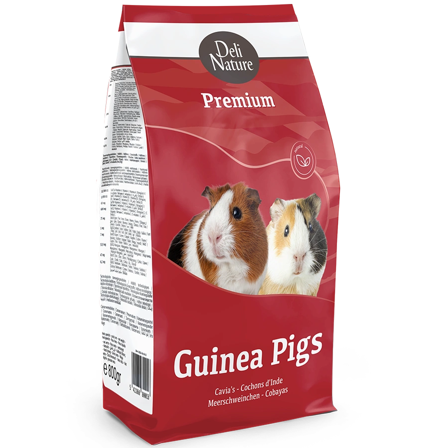 Premium Cochons D'inde